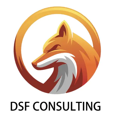DSF Consulting